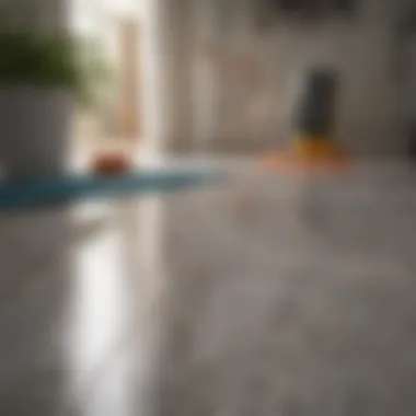 Eco-Friendly Cleaning Solutions Eco-friendly cleaning solutions for laminate surfaces