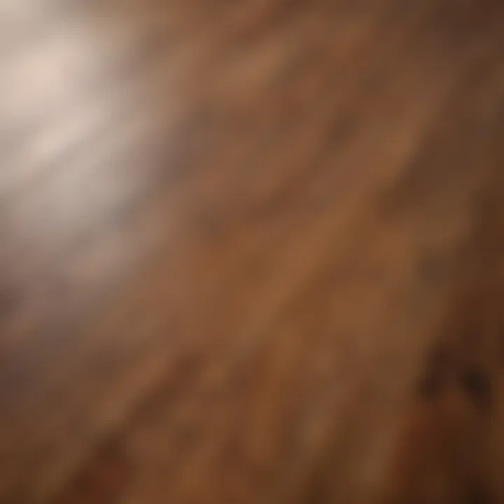 Close-up of wood grain highlighting its texture