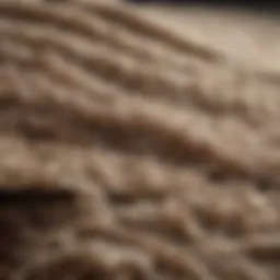 Close-up of wool rug fibers showcasing their texture