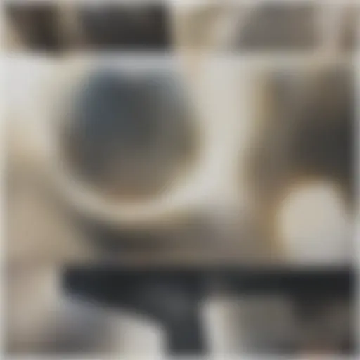 A close-up view of shag rug fibers showcasing their texture