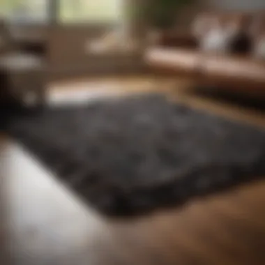 Shag Rug Enhancing a Cozy Living Space A well-maintained shag rug laid out in a stylish living room