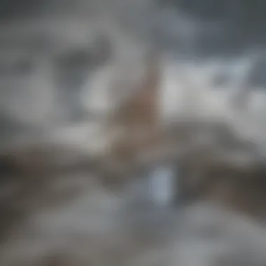 Visual representation of common shower drain clogs