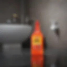 Chemical drain cleaner in a bottle