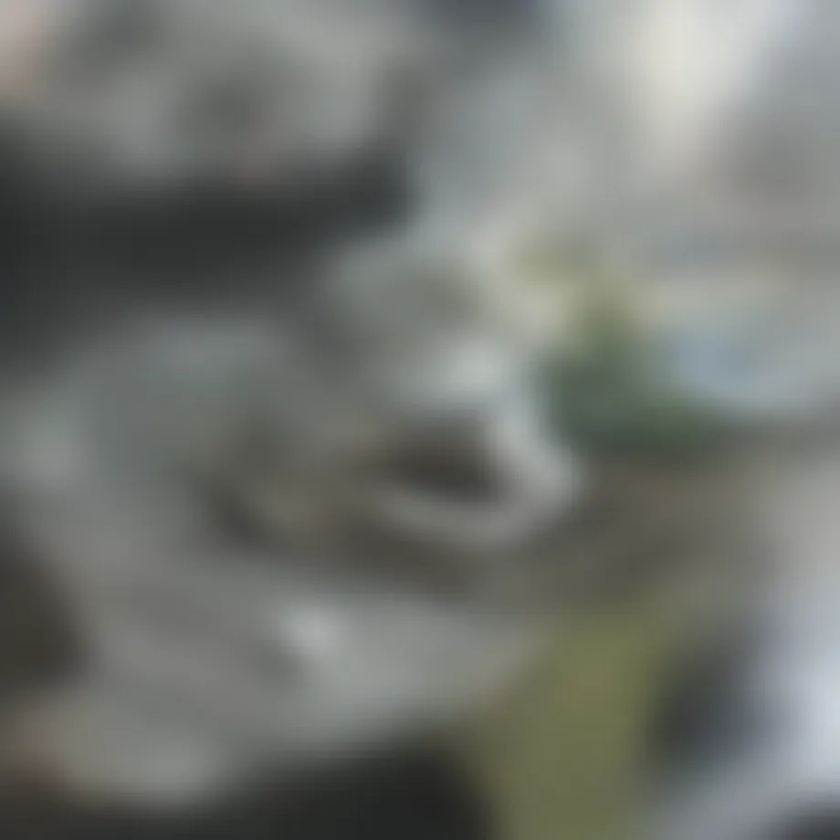 Visual representation of common causes for clogged drains