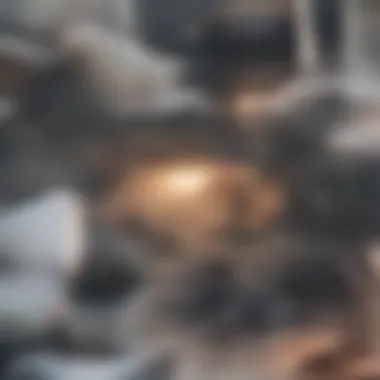 Visual representation of clogged dryer vents