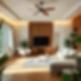 Detailed cleaning of a living room with attention to every corner