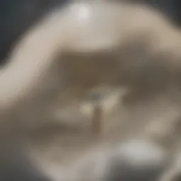 Conceptual illustration of rent write off implications