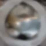 Clogged sink showing buildup of debris