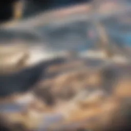 Visual representation of a credit score scale