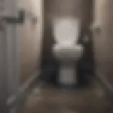 Illustration of toilet drainage mechanics