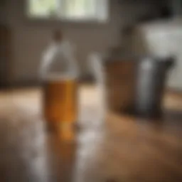 A bottle of vinegar next to a bucket of water